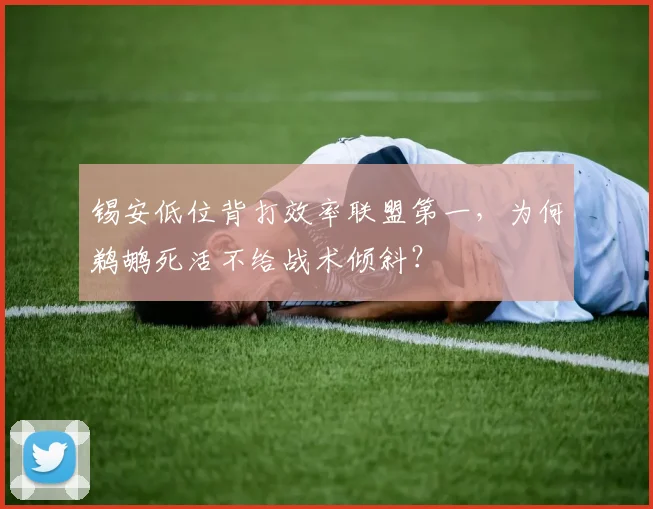 锡安低位背打效率联盟第一，为何鹈鹕死活不给战术倾斜？